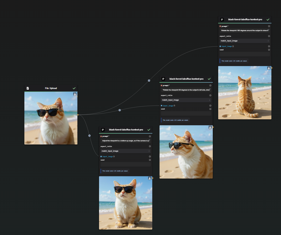 Cat on the beach - 3 new angles