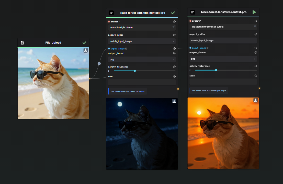 Cat on the beach - Day VS Night VS Sunset